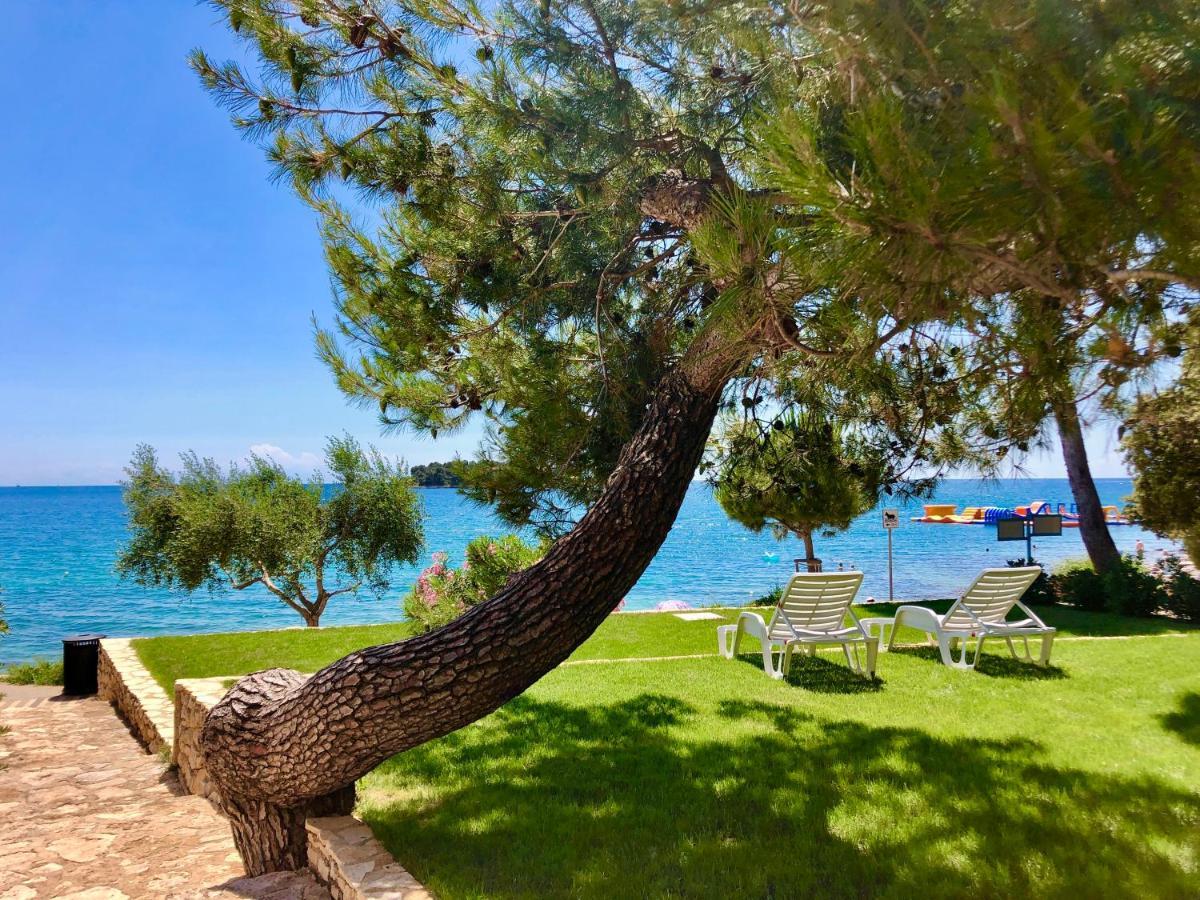 Al Mare Apartments Rovinj Exterior photo